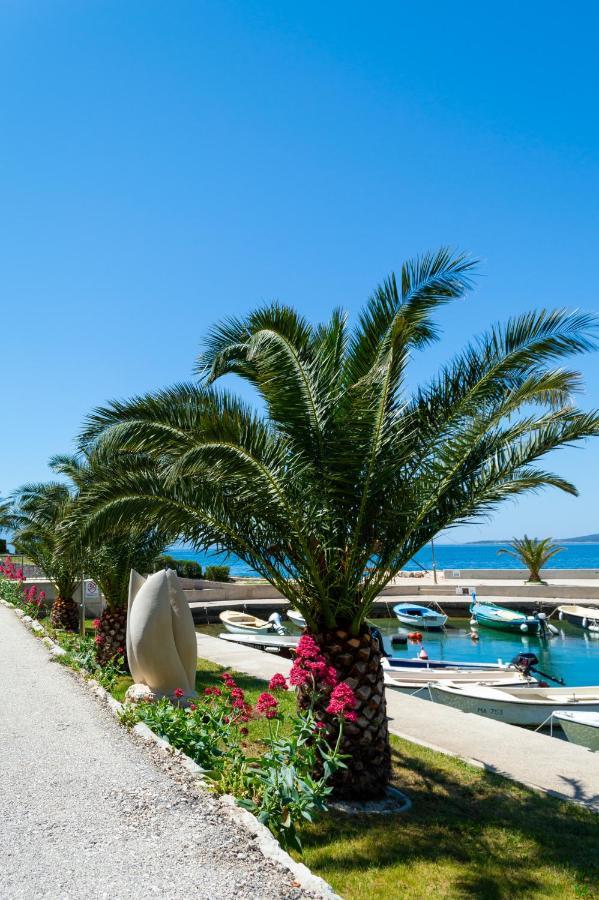 Apartments Ivica - Beachfront ดริเวนิก ภายนอก รูปภาพ